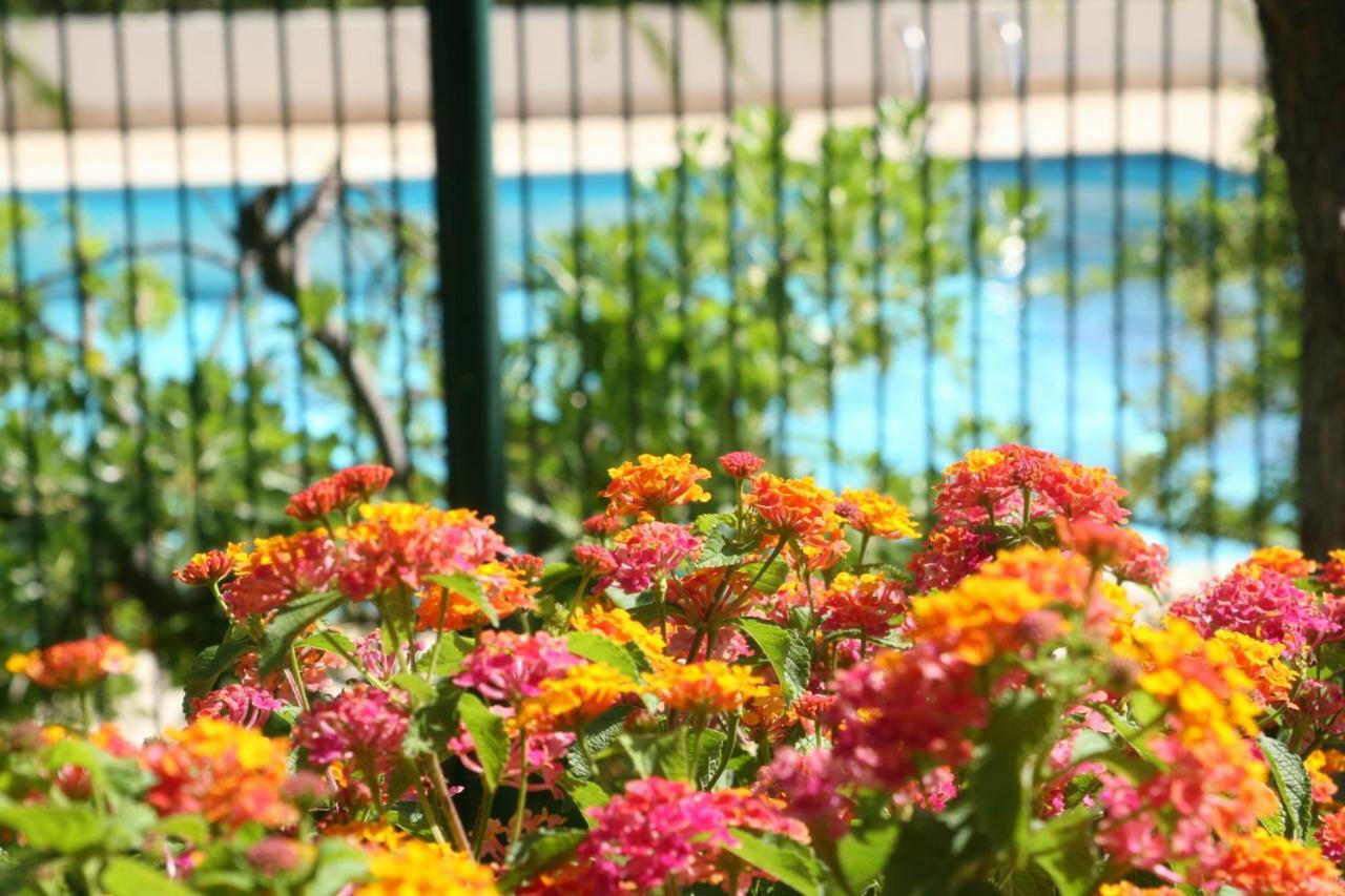Studio Le Fabrina Riviera Ница Екстериор снимка